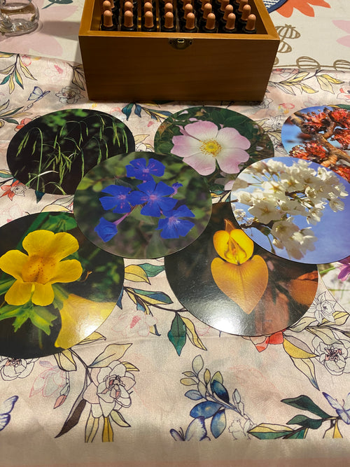 Florece tus emociones